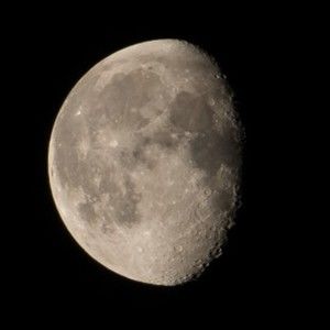 Meet your Posher, Wang